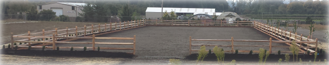 Custom Arena by Marvin's Fencing